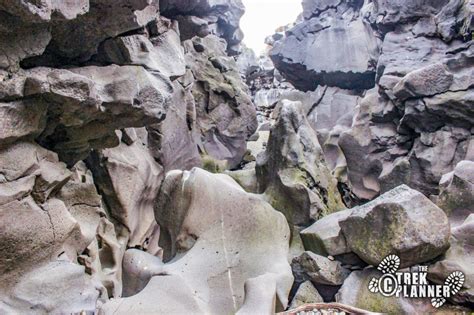 Black magic canyon idaho